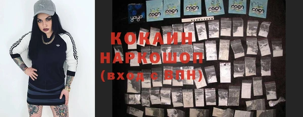 ГАЛЛЮЦИНОГЕННЫЕ ГРИБЫ Алексин