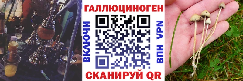 Псилоцибиновые грибы Cubensis  blacksprut маркетплейс  Азов  наркота 